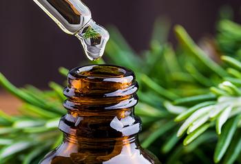 Oregano ~ Essential Oil