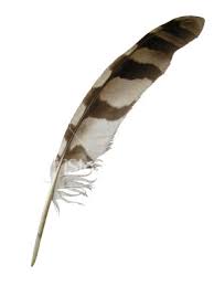 Smudging Feather